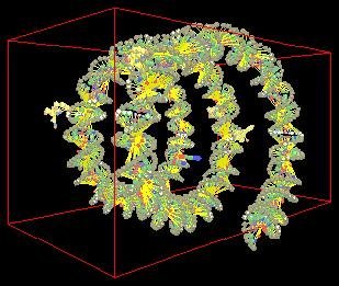 DNA superhelical structure